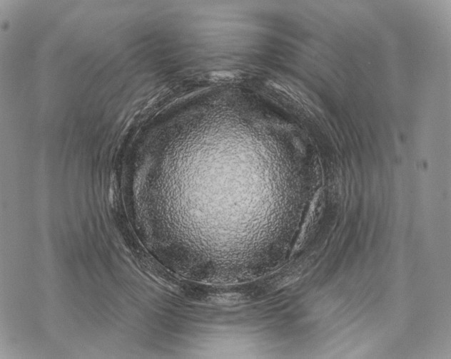 X0000072950748200608111625