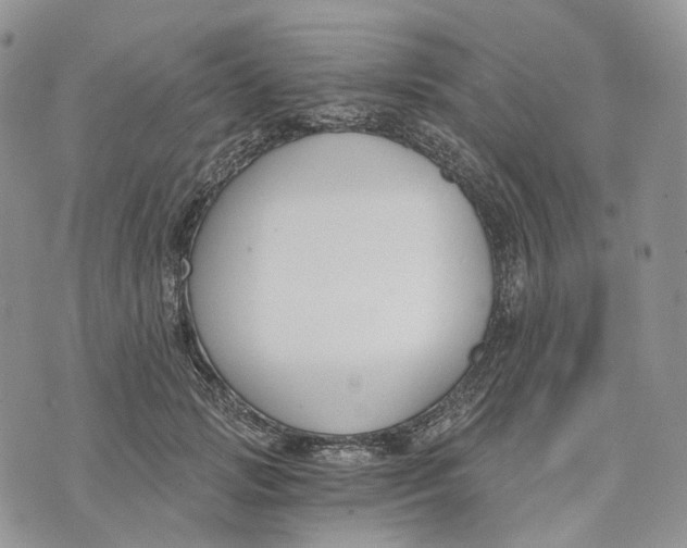 X0000072950749200608111625