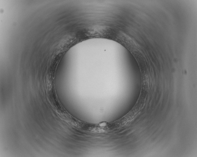 X0000072950751200608111625