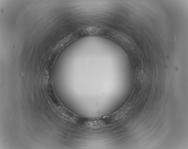 X0000072950752200608111625