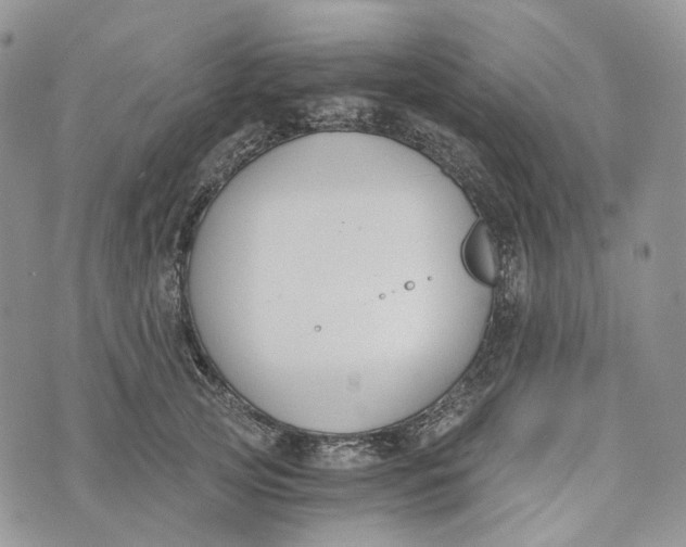 X0000072950753200608111625