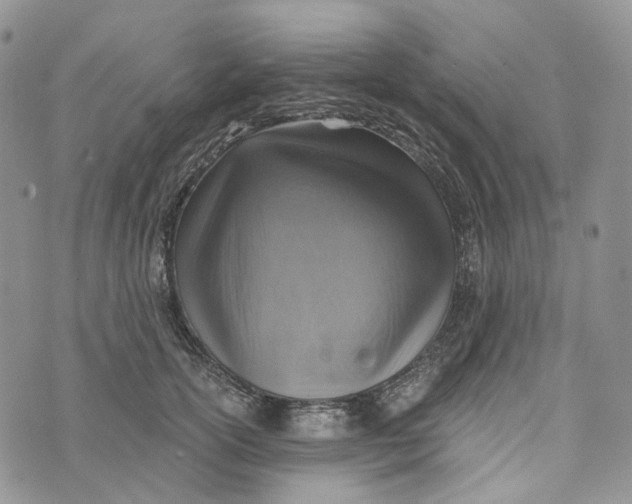 X0000072950754200608111625