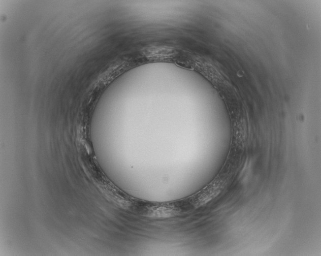 X0000072950755200608111625