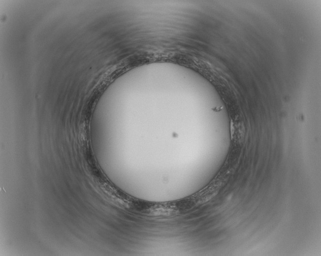 X0000072950756200608111625