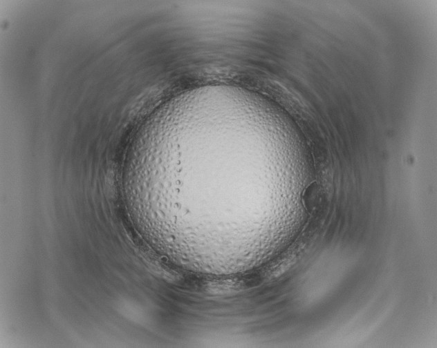 X0000072950757200608111625