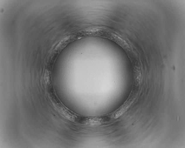 X0000072950758200608111625