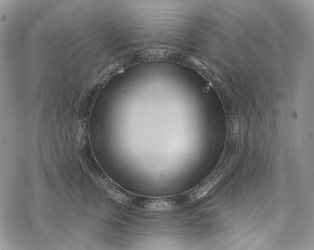 X0000072950759200608111625