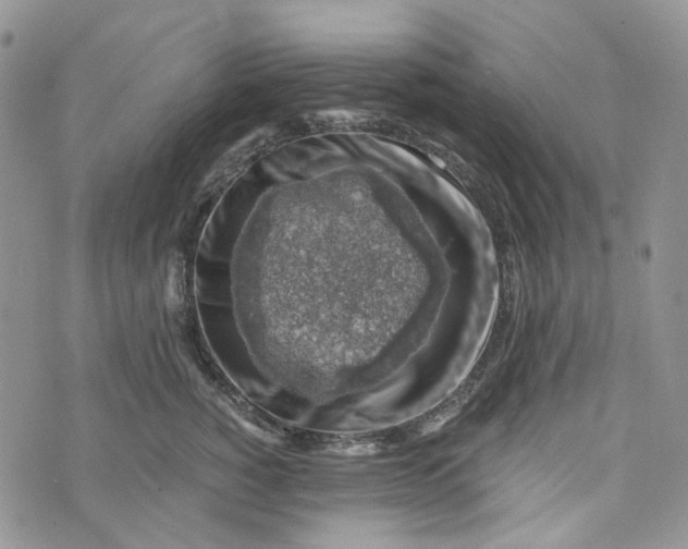 X0000072950760200608111625