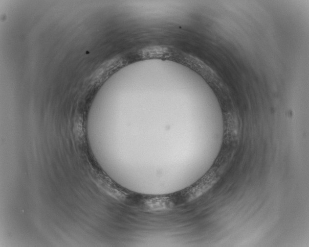 X0000072950761200608111625