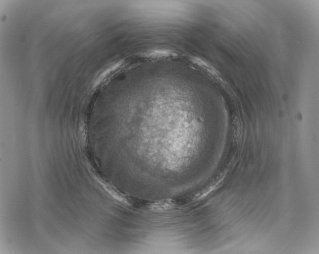 X0000072950762200608111625