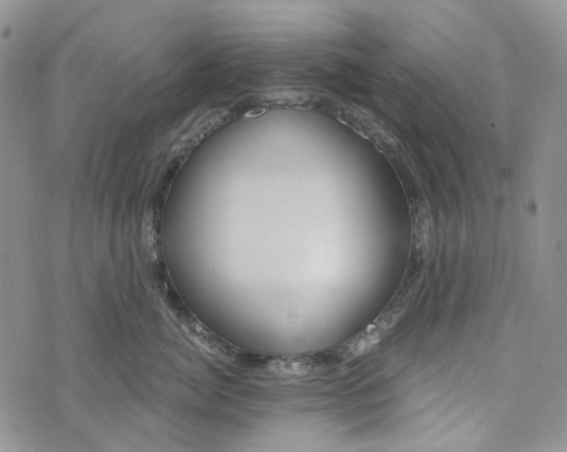 X0000072950764200608111625