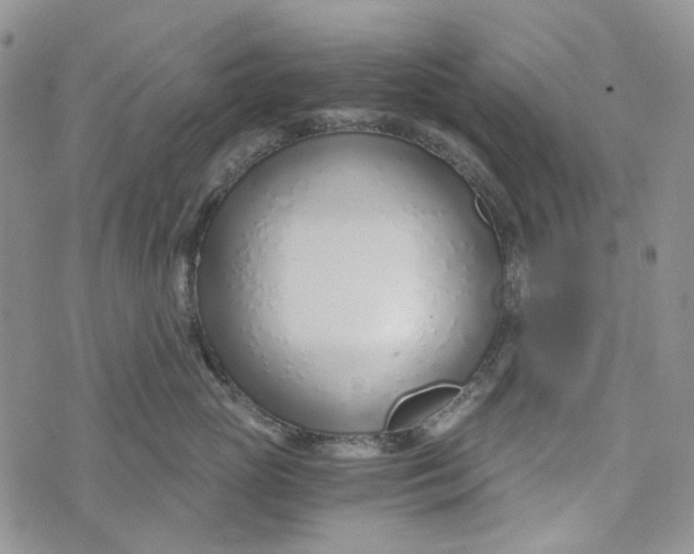 X0000072950765200608111625