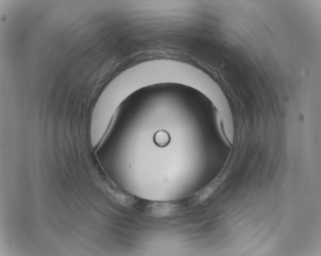 X0000072950766200608111625