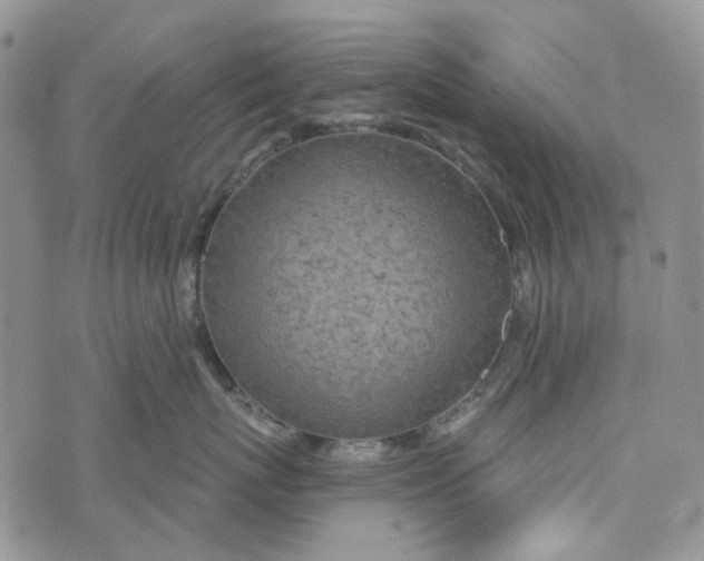 X0000072950767200608111625