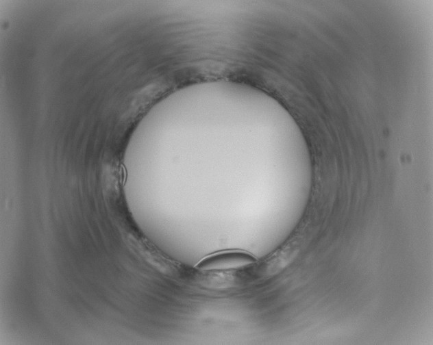 X0000072950768200608111625