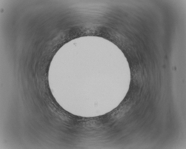 X0000072950769200608111625