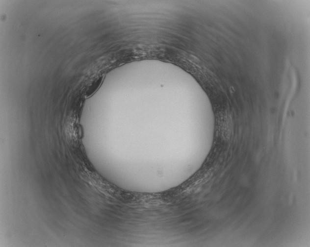 X0000072950770200608111625