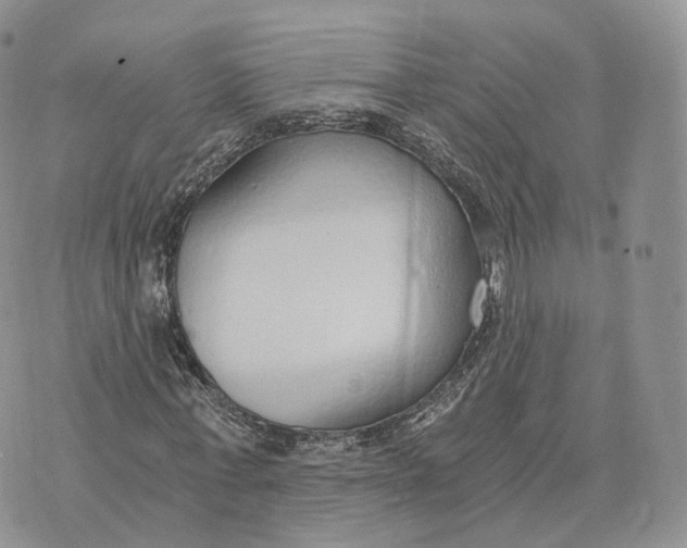 X0000072950771200608111625