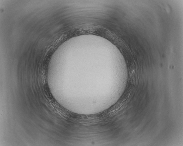 X0000072950772200608111625