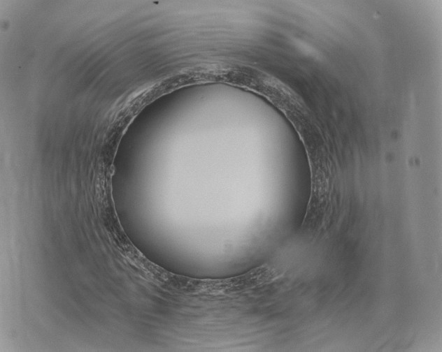 X0000072950773200608111625