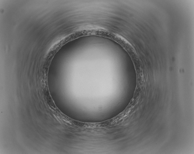 X0000072950775200608111625