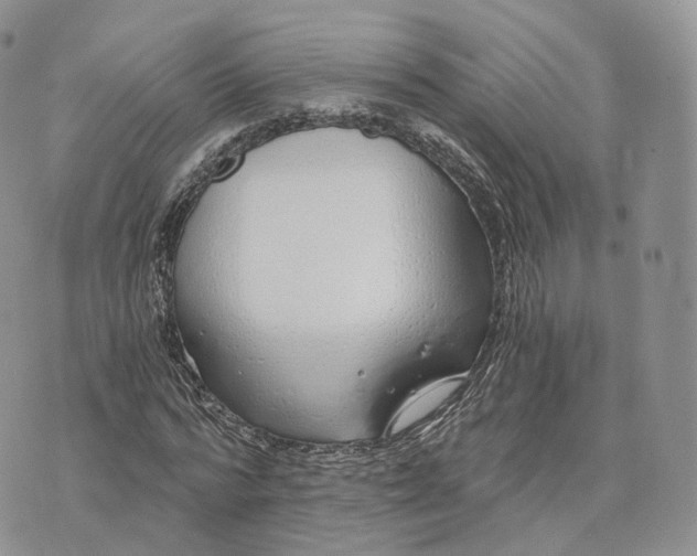 X0000072950776200608111625