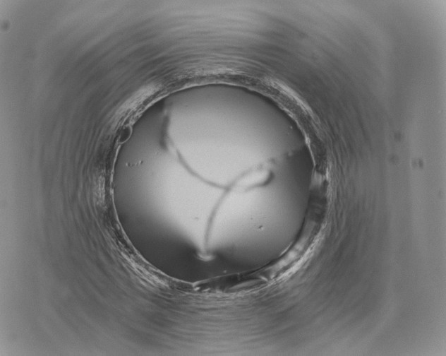 X0000072950777200608111625