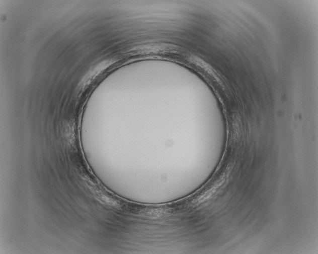 X0000072950778200608111625