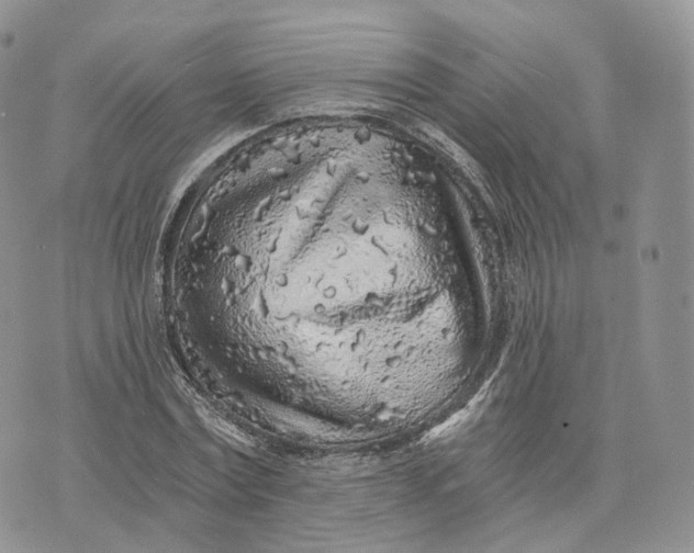 X0000072950779200608111625