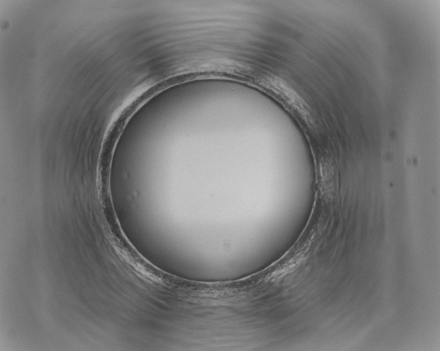 X0000072950780200608111625