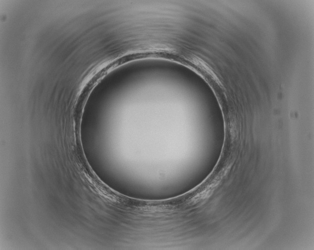 X0000072950781200608111624