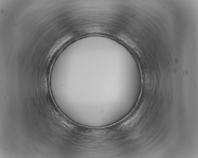 X0000072950782200608111624