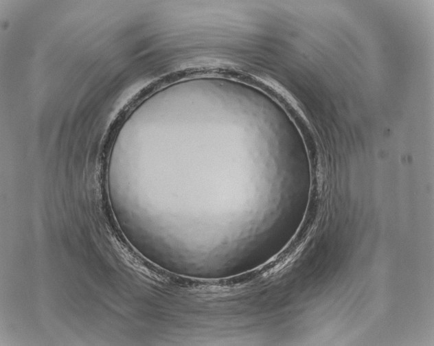 X0000072950783200608111624