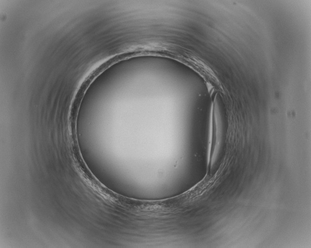 X0000072950784200608111624