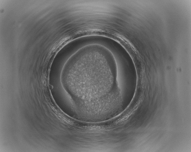 X0000072950785200608111624