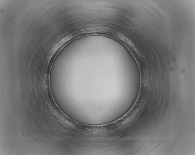 X0000072950786200608111624