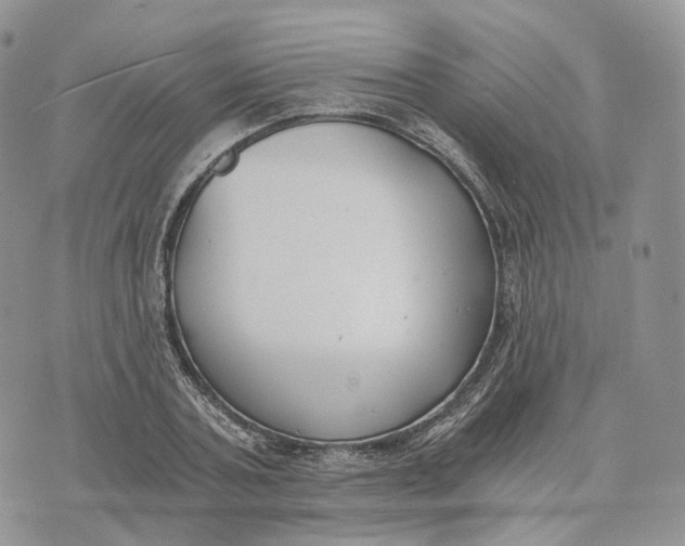 X0000072950787200608111624