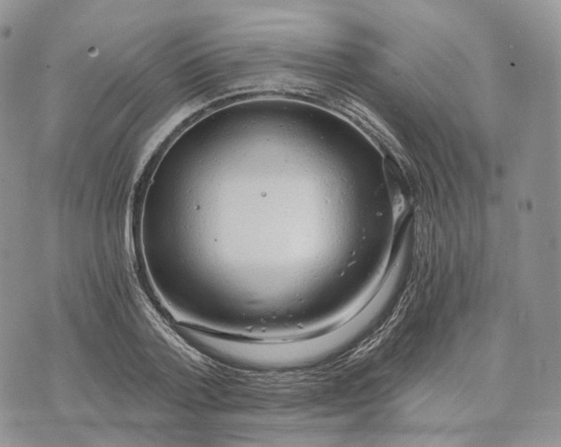 X0000072950788200608111624