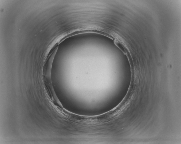 X0000072950789200608111624