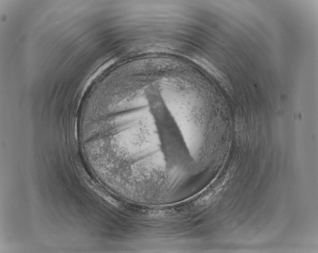 X0000072950790200608111624