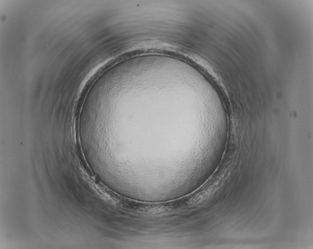 X0000072950791200608111624