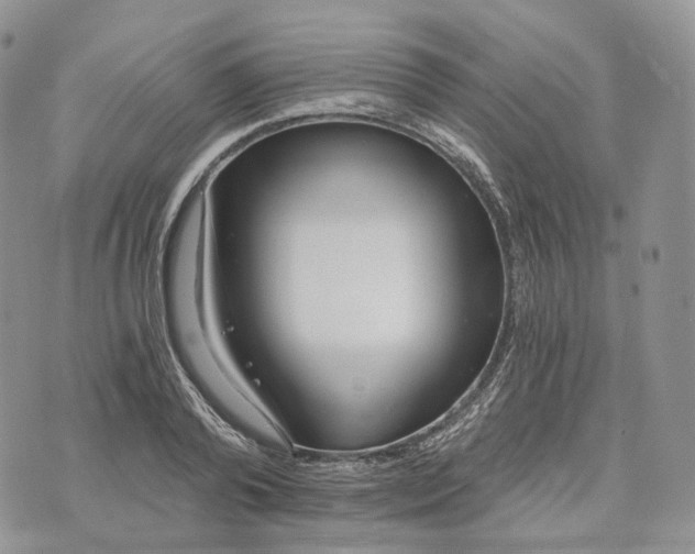 X0000072950792200608111624