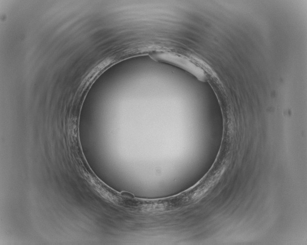 X0000072950793200608111624