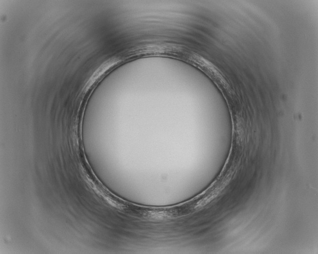 X0000072950794200608111624