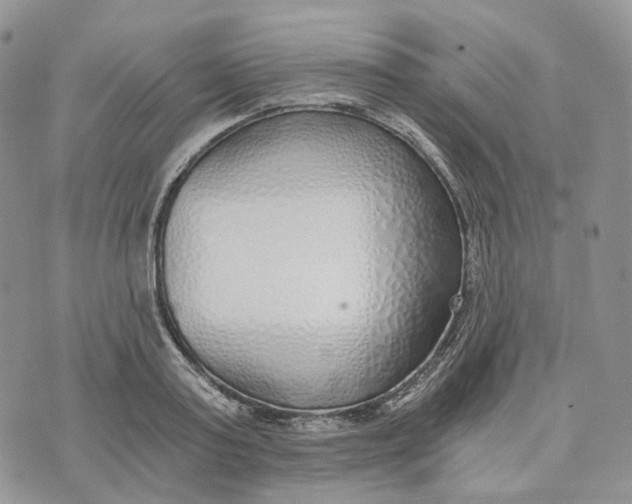 X0000072950795200608111624