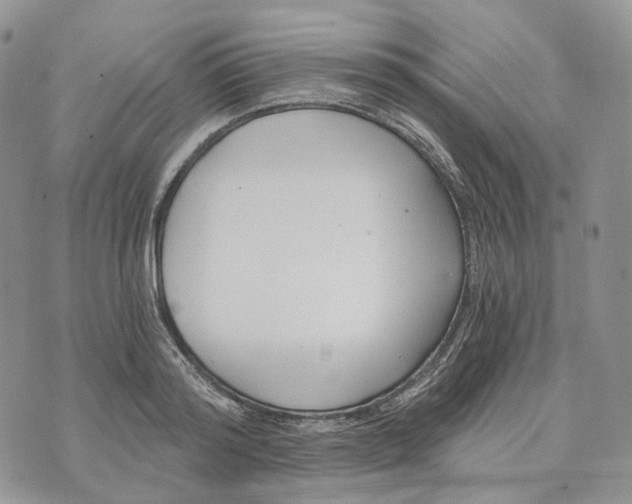 X0000072950796200608111624