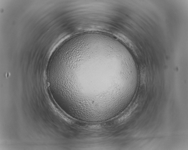 X0000072950798200608111624