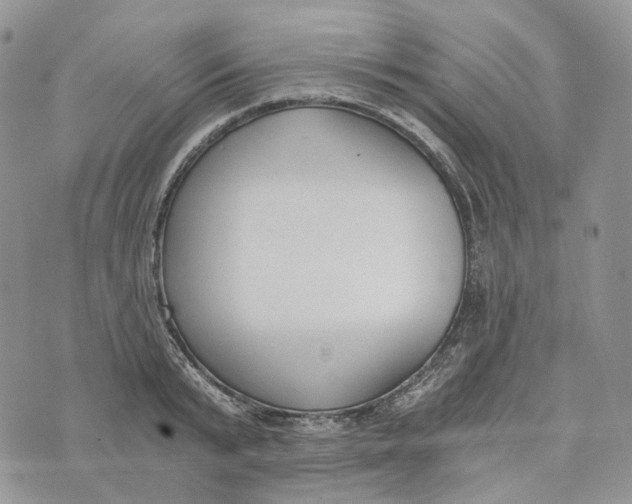 X0000072950799200608111624