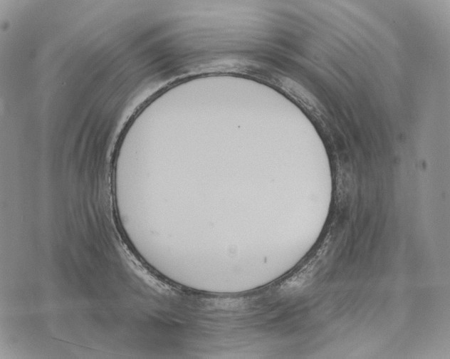 X0000072950800200608111624