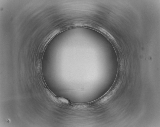 X0000072950801200608111624